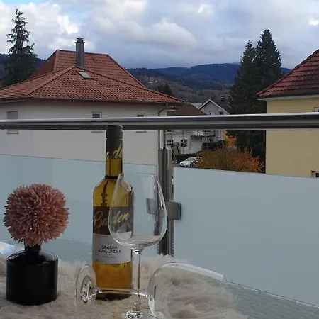 Boardingappartement Windeckblick, Ruhige, Zentrale Lage Mit Grossem Suedbalkon